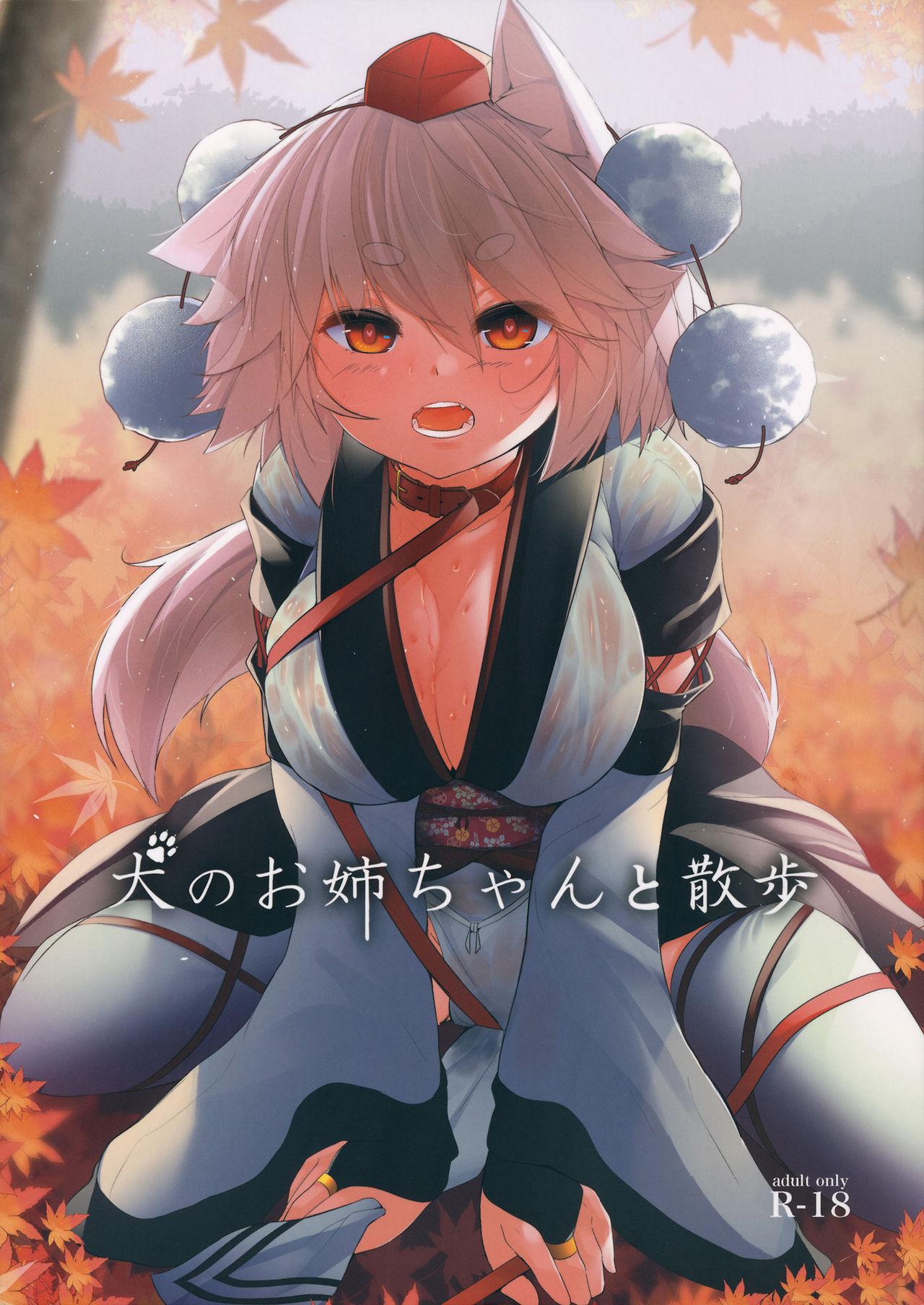 Secret Inu no Onee-chan to Sanpo - Touhou project Orgasmus - Picture 1