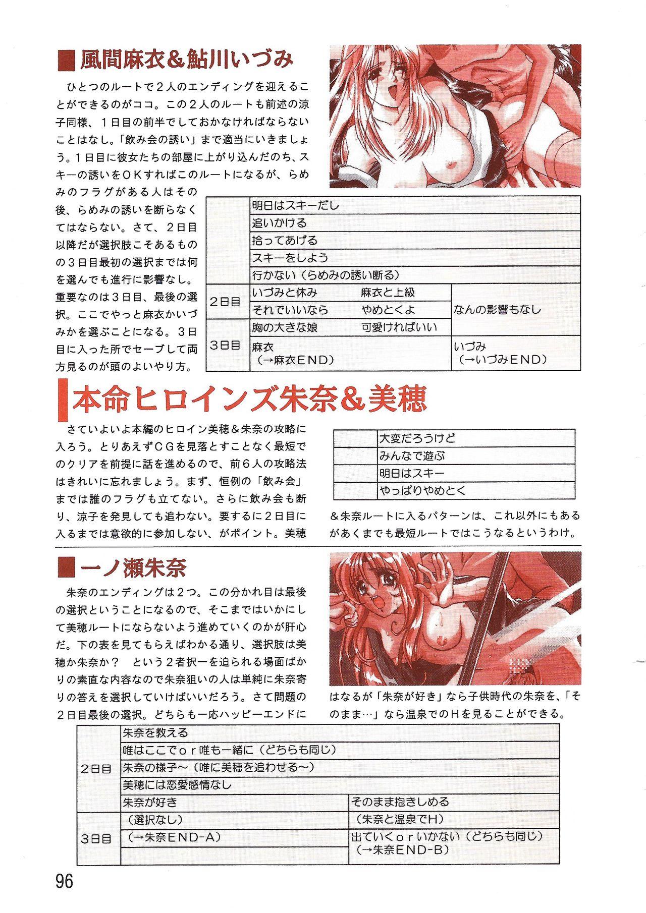 PC Bishoujo Software Strategy Book: Strategy King 2 95
