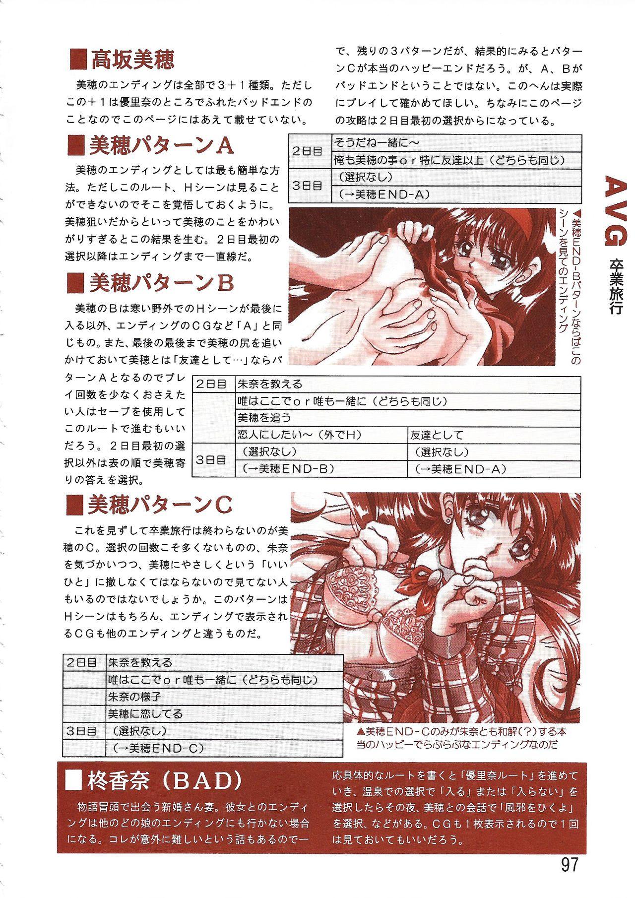 PC Bishoujo Software Strategy Book: Strategy King 2 96