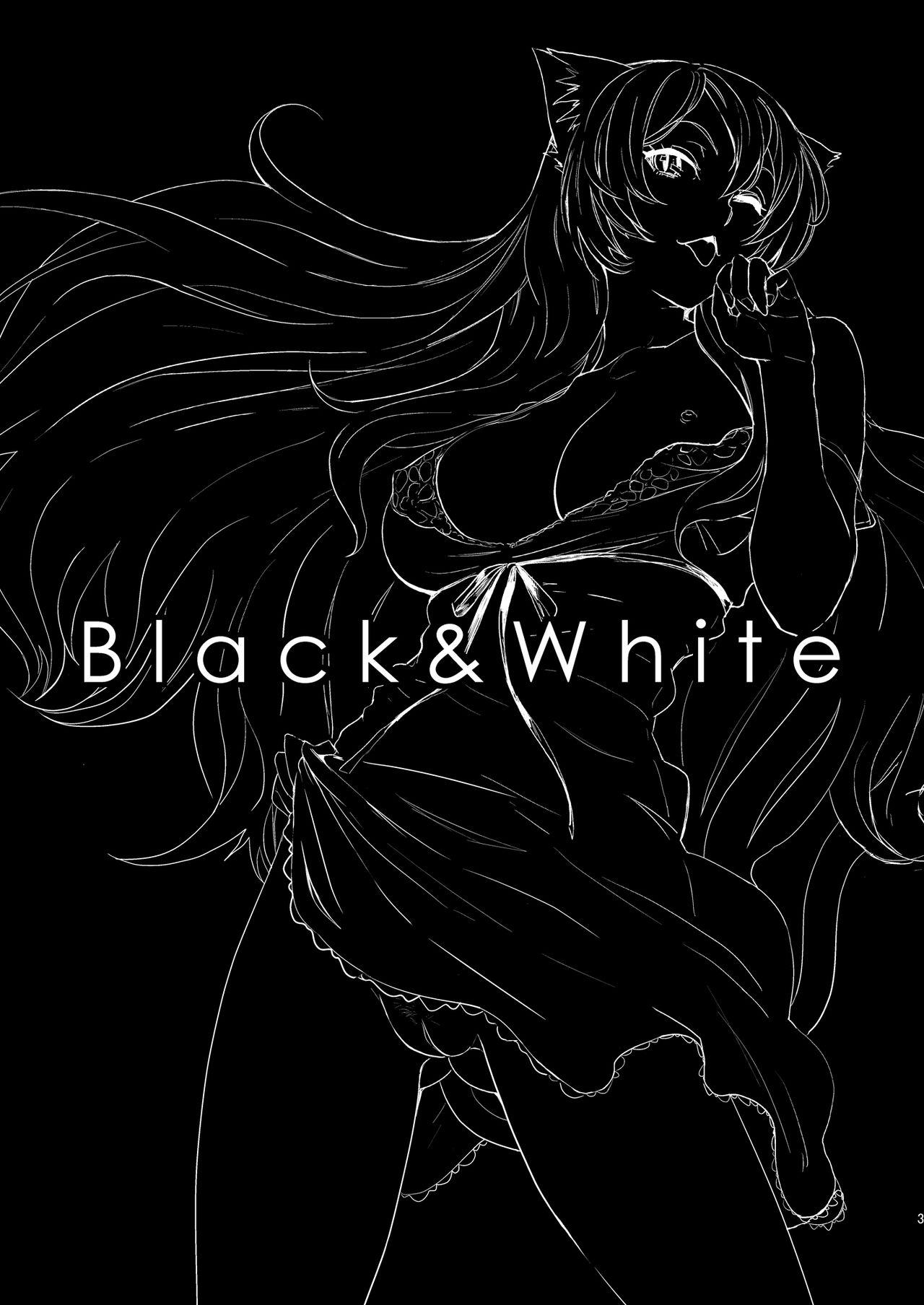 Black & White 1