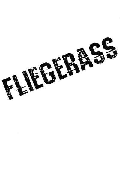 FLIEGERASS 3