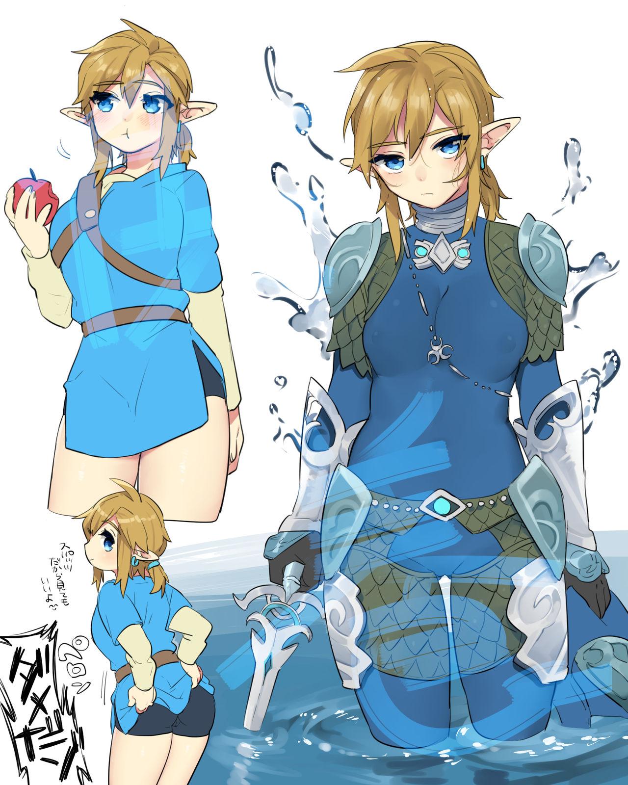 Zelda Summary 14