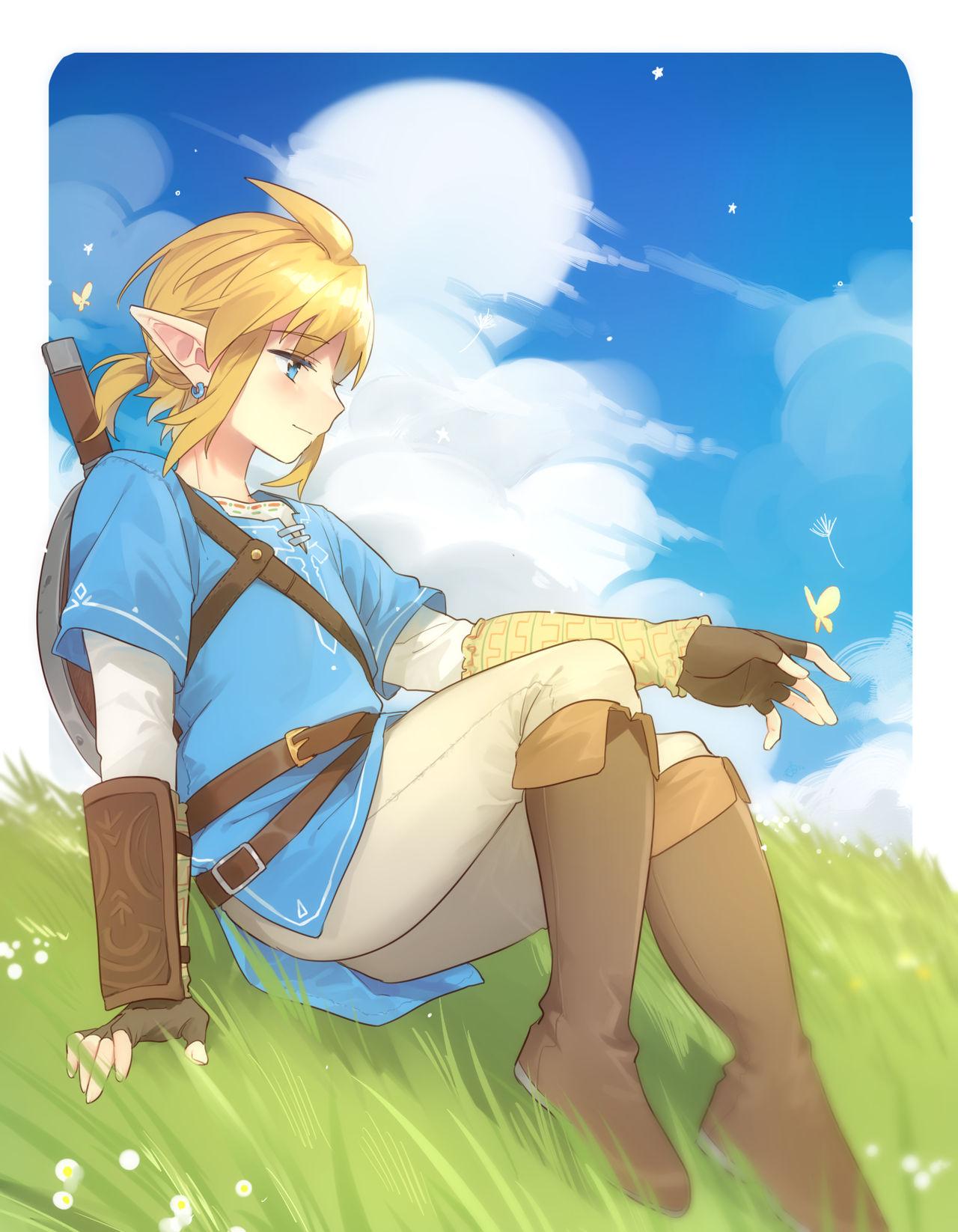 Zelda Summary 6
