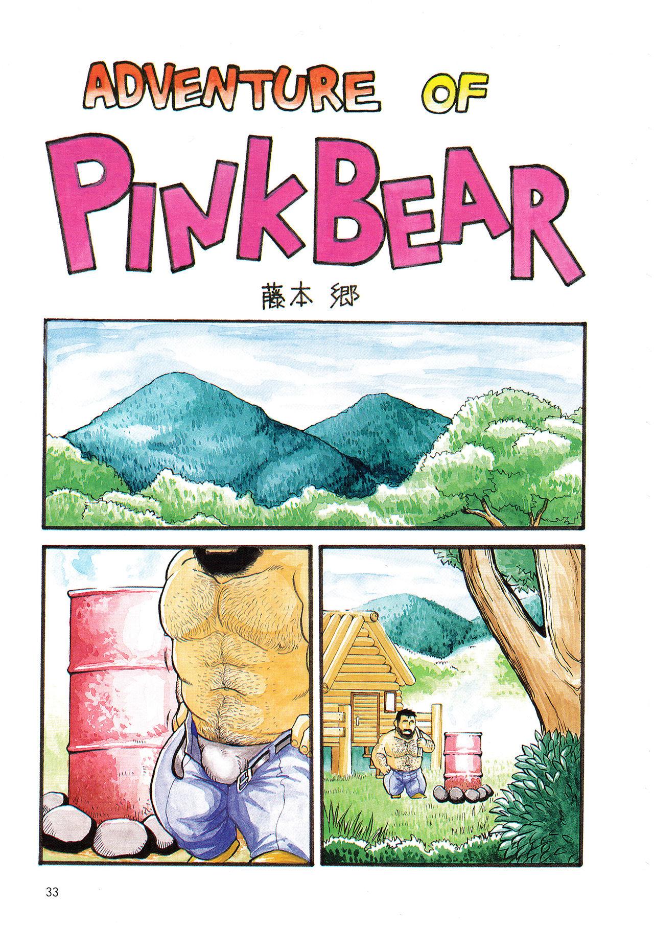 Adventure of Pink Bear 1
