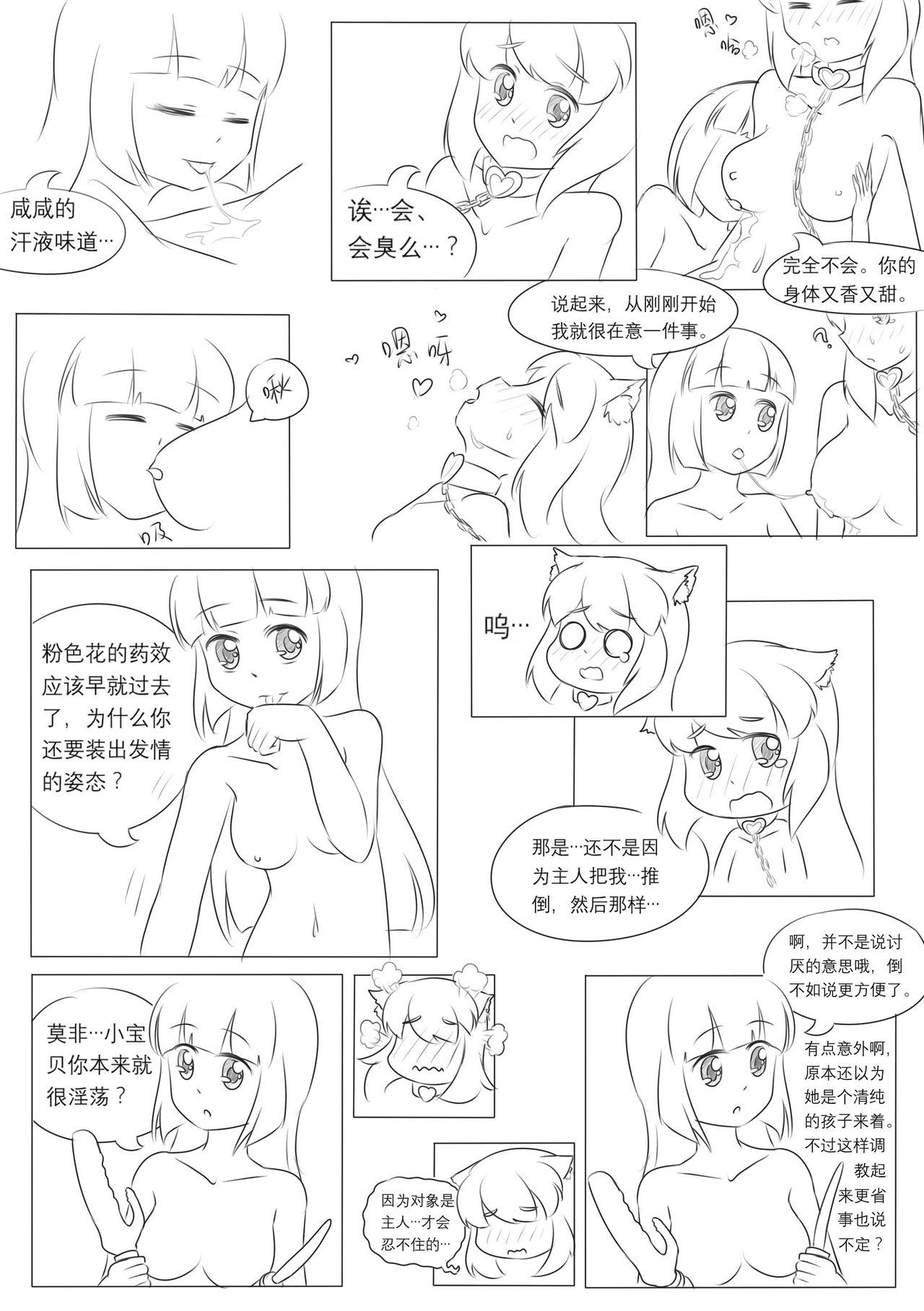 占星術師 66