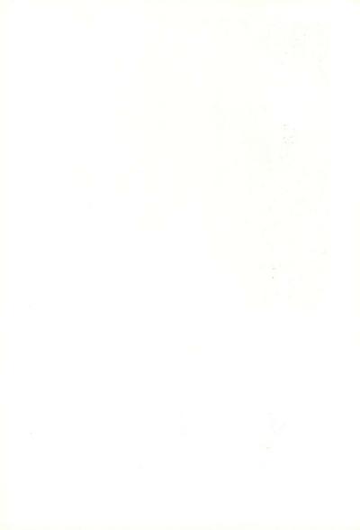 Usukuchi Shouyu 1