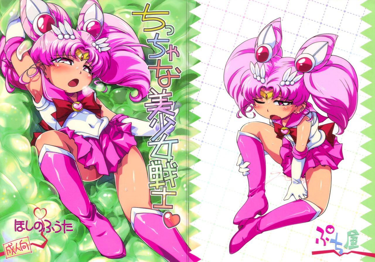 Chiccha na Bishoujo Senshi 1