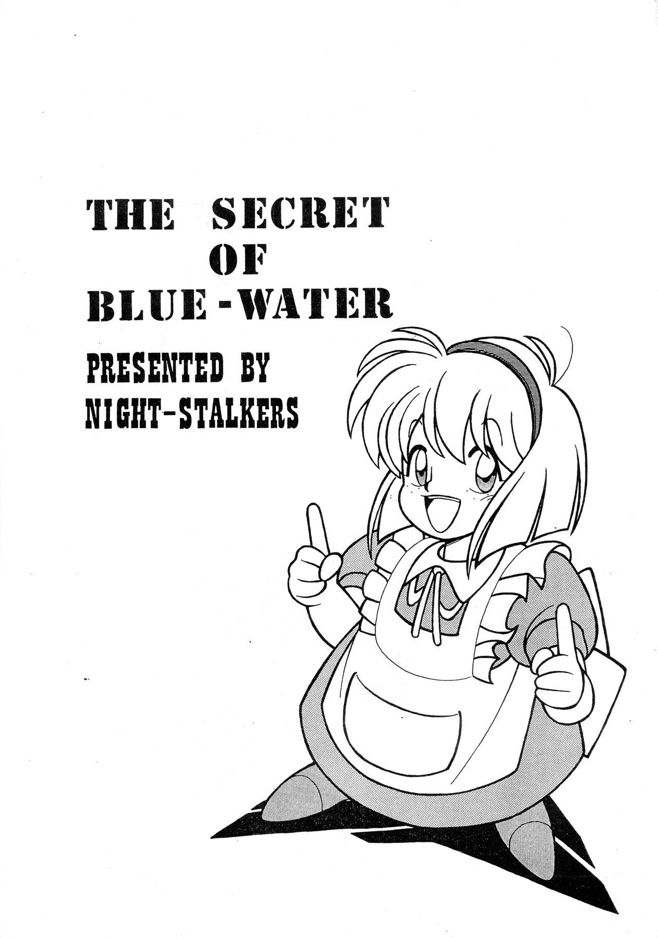 Secret Hitotsubu no Umi 2 - Fushigi no umi no nadia | nadia the secret of blue water Morena - Picture 3