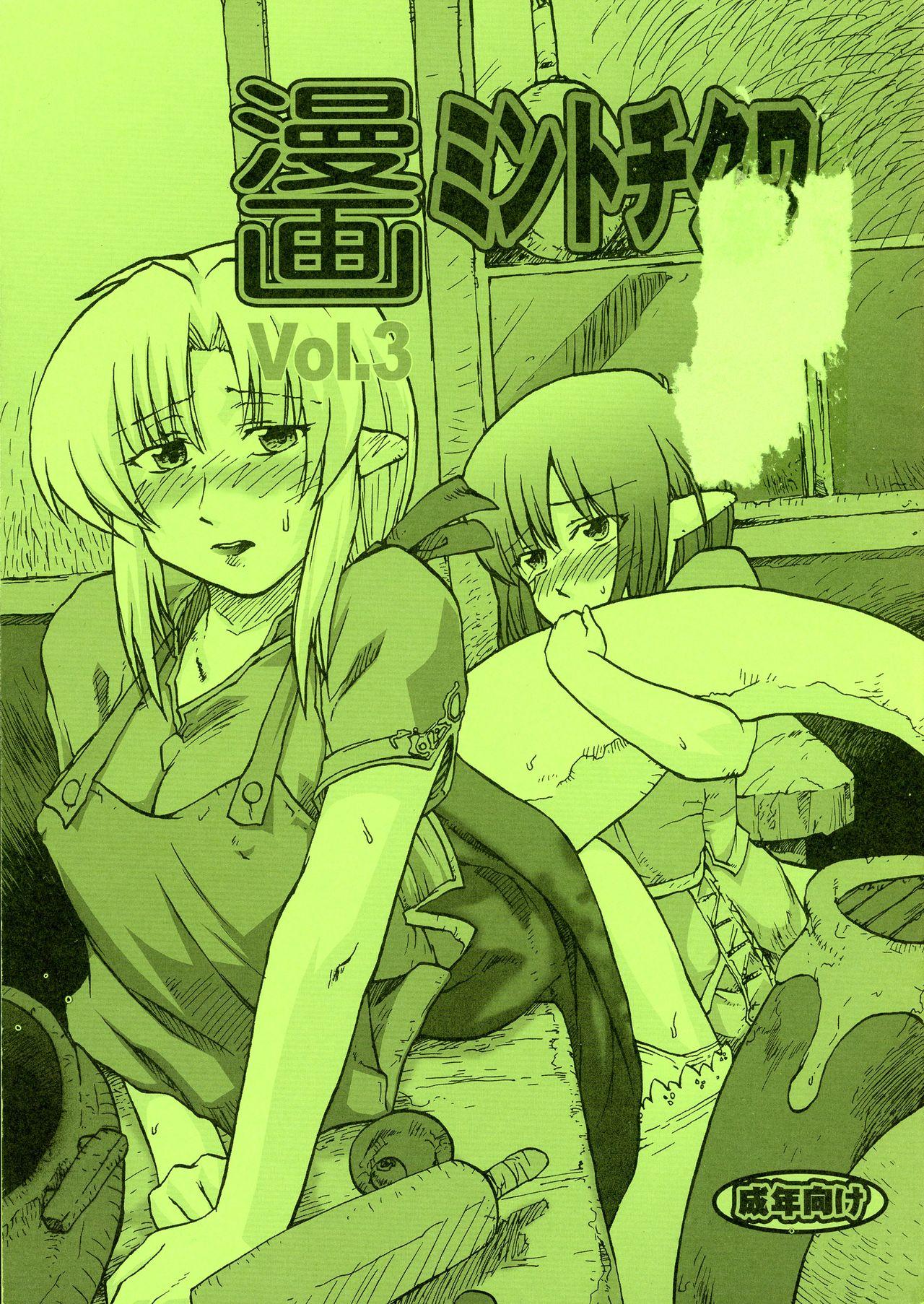 Manga Mintochikuwa vol. 3 0