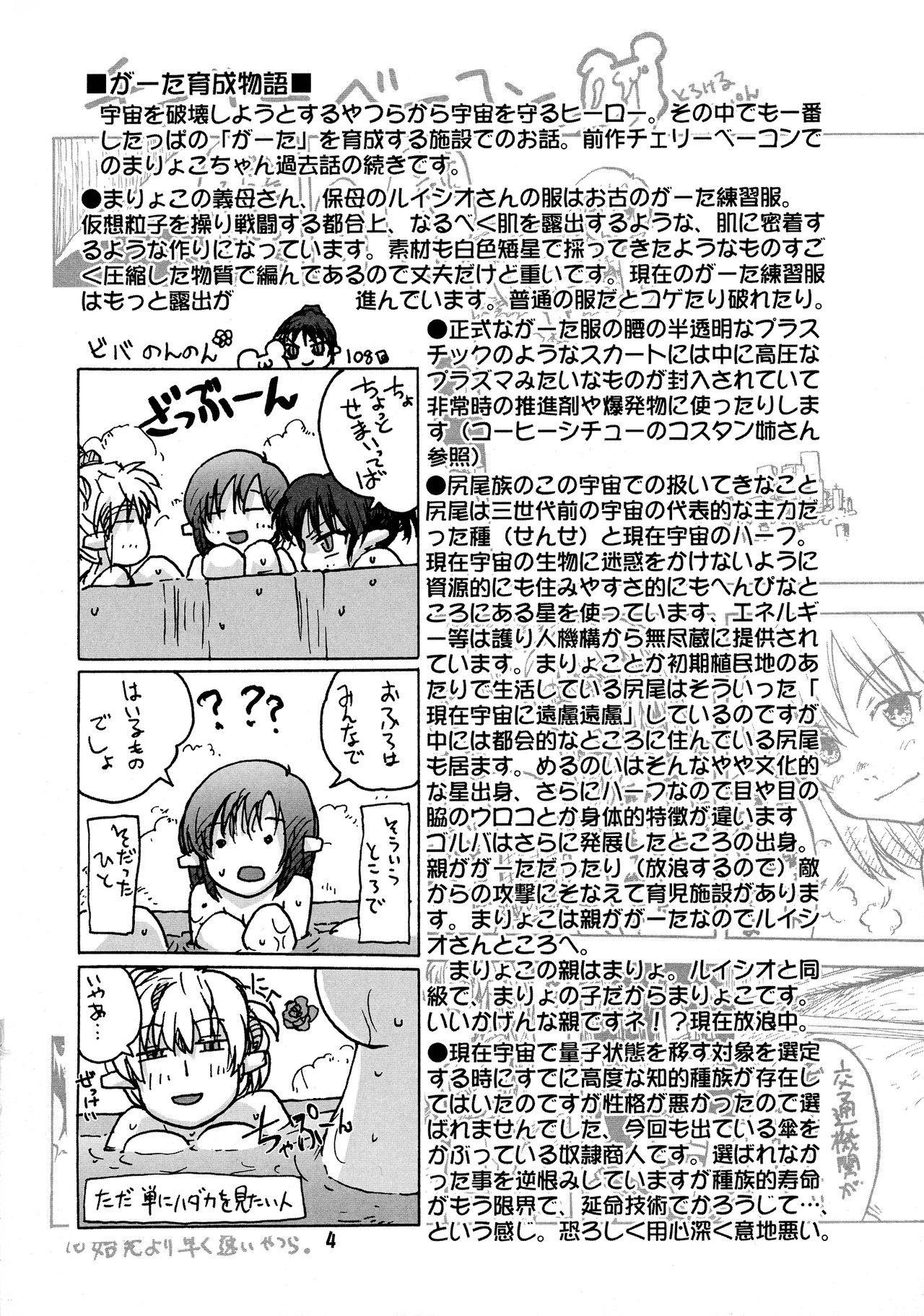 Manga Mintochikuwa vol. 3 3