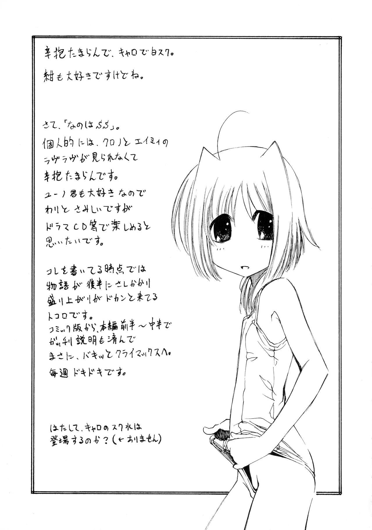 Mahou Shoujo Lyrical Nanoha Adult Stage 03 22