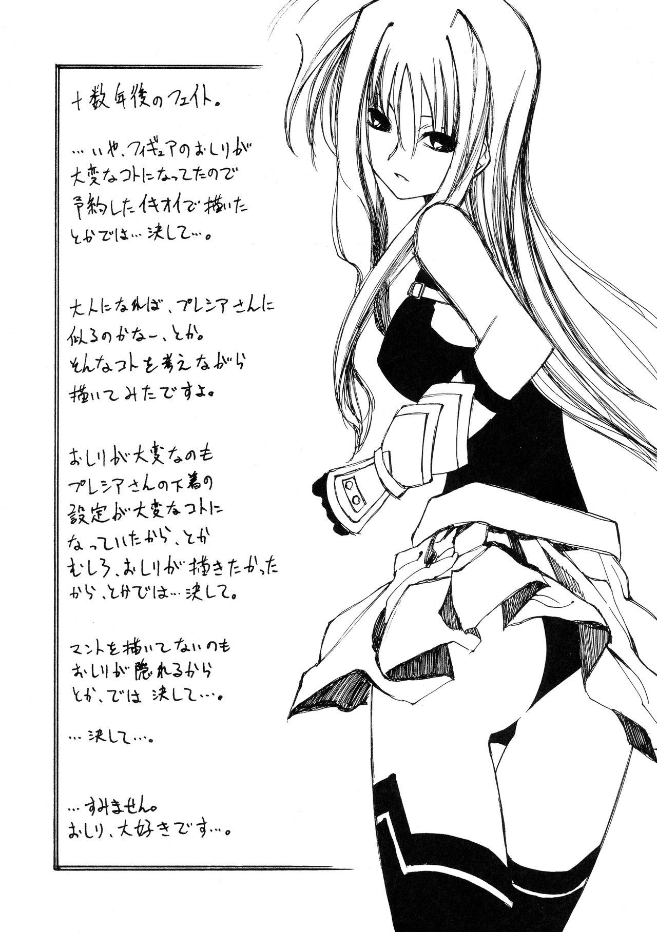 Good Mahou Shoujo Lyrical Nanoha Adult Stage 02 - Mahou shoujo lyrical nanoha | magical girl lyrical nanoha Gays - Page 24