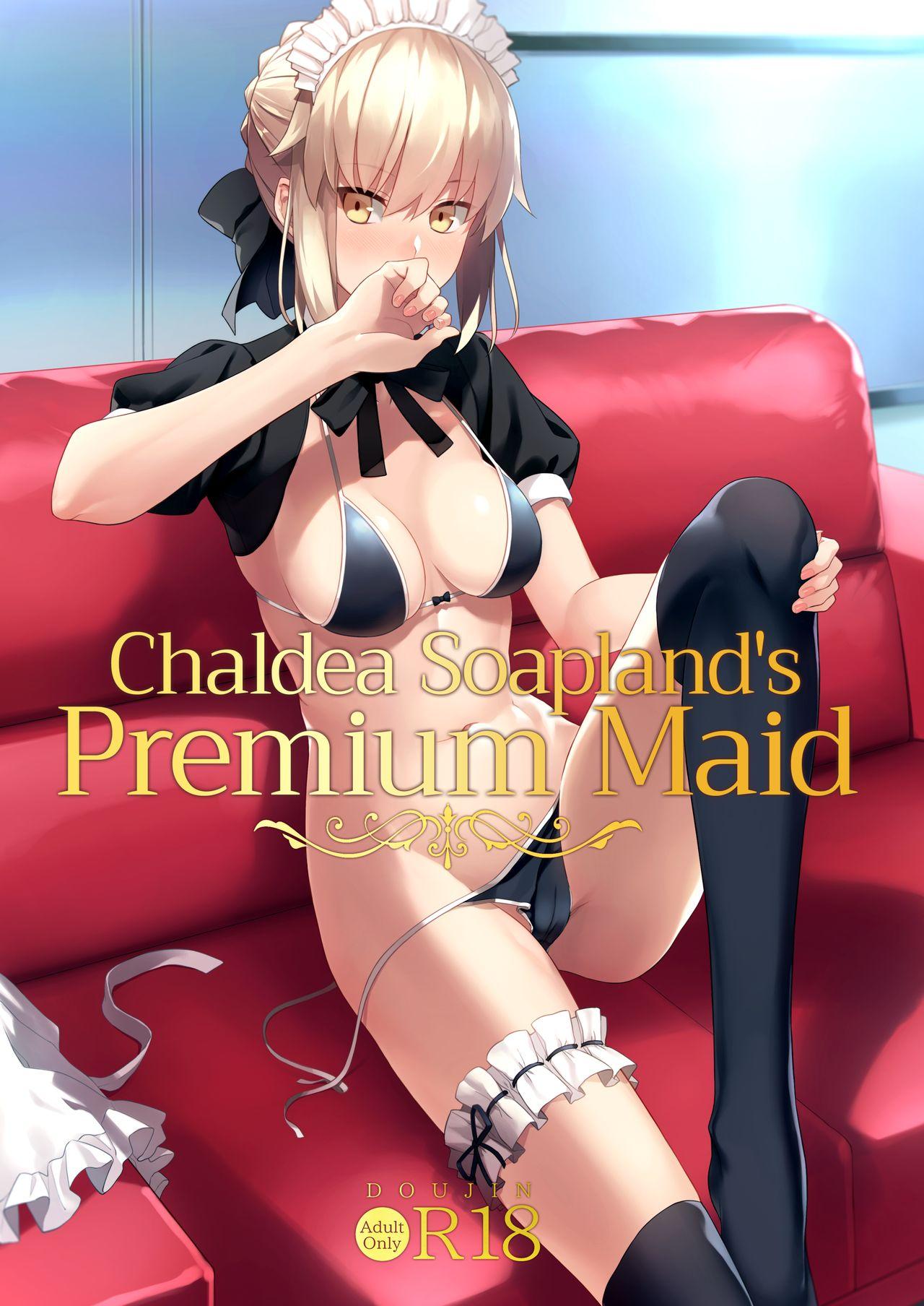Chaldea Soap SSS-kyuu Gohoushi Maid 0