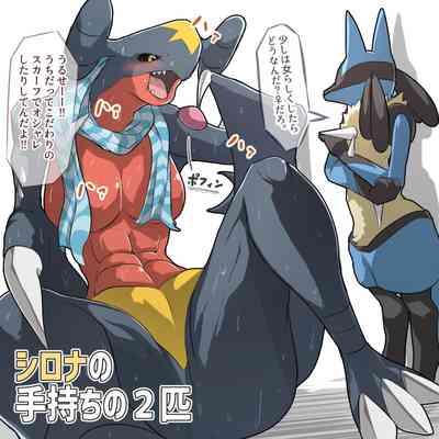 Height Comp Lucario6Ongoing 5