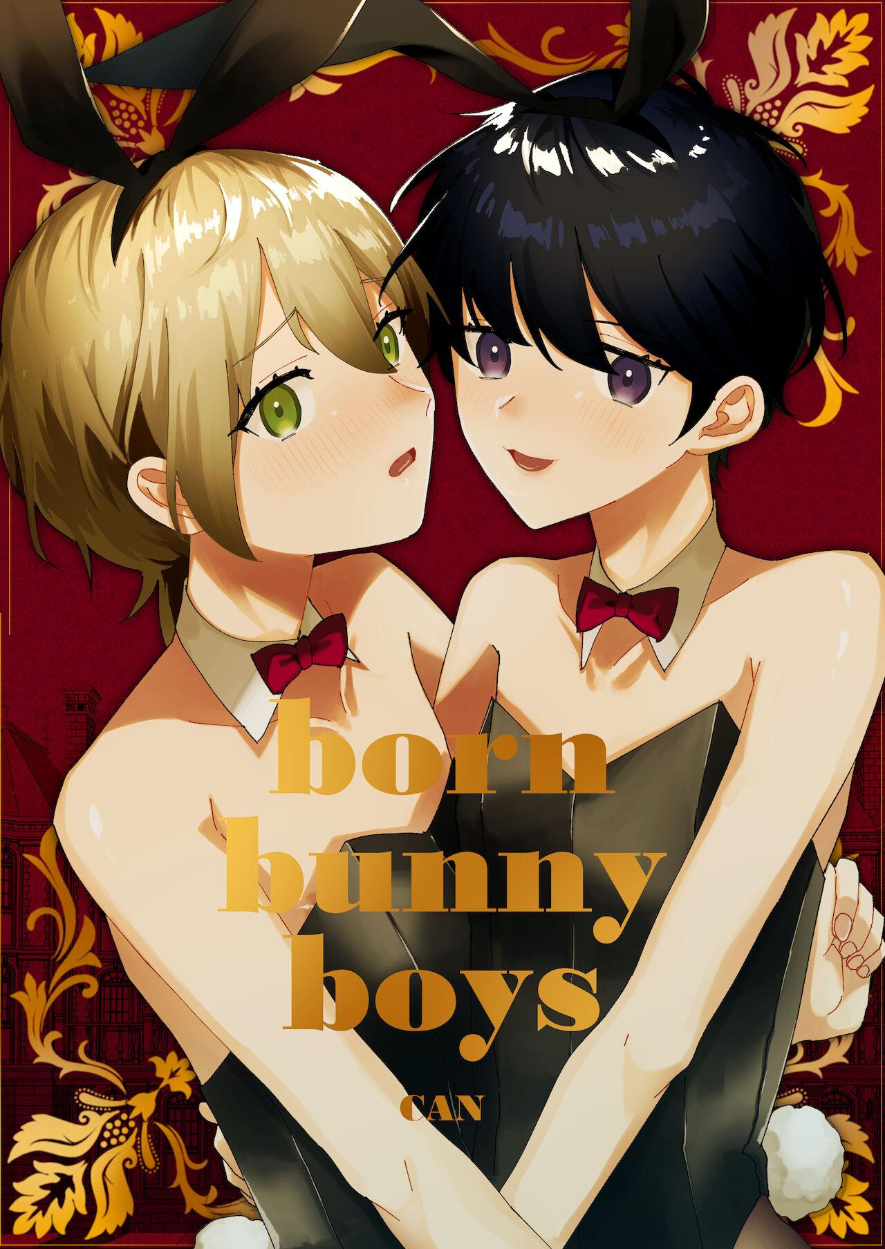 born bunny boys 1