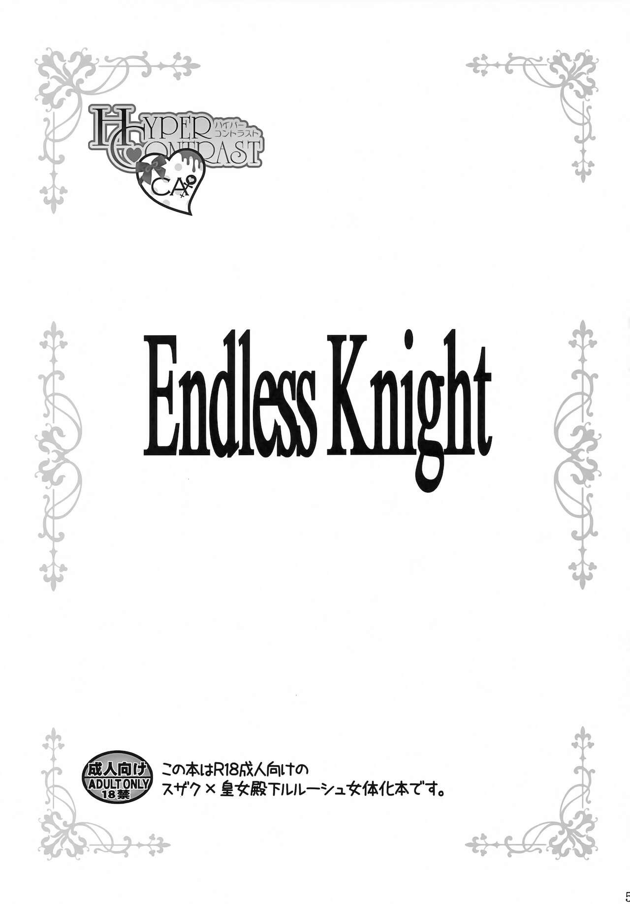 Endless Knight 3
