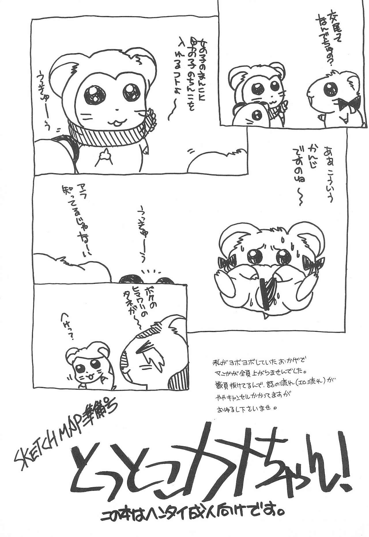 Nylon Tottoko Kana-chan! SKETCH MAP - Hamtaro Alone - Page 3