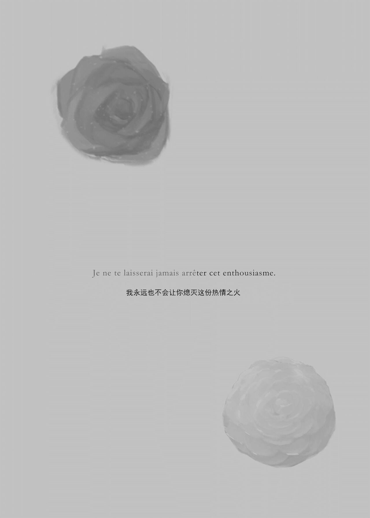 2048565-White Camellia & Red Rose 1