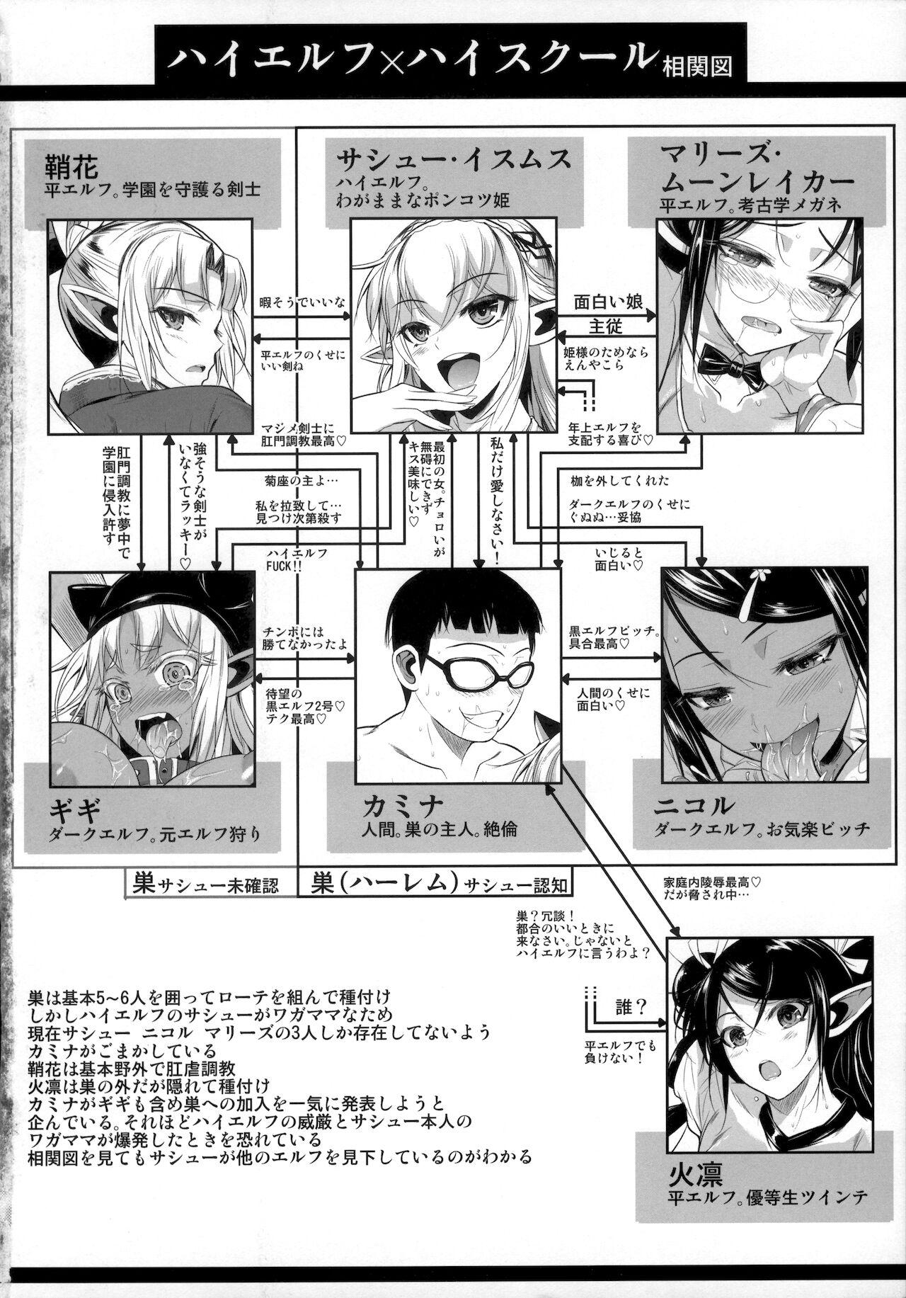 Bang Bros (C91) [Shoot The Moon (Fuetakishi)] High Elf x High School Kamina-kun no 1-nichi - Original Homosexual - Page 3
