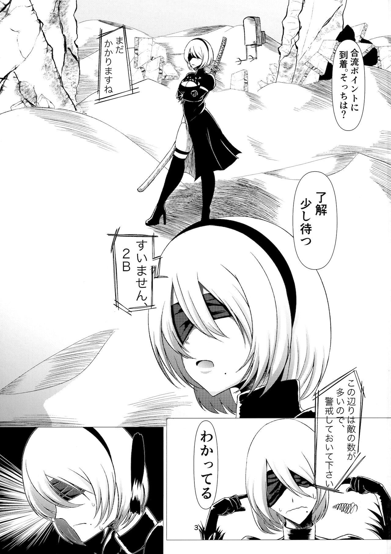 Por E690BEE4B9B3E88289E5A5B4E99AB7 2B - Nier automata Ruiva - Page 2