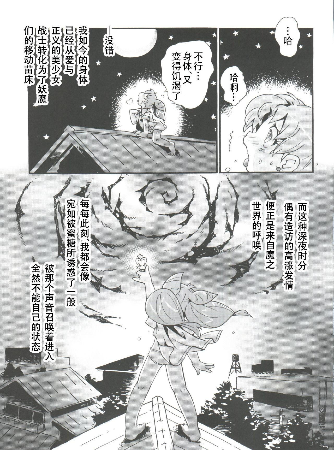Gays Chiccha na Bishoujo Senshi 6 - Sailor moon | bishoujo senshi sailor moon Sologirl - Page 4