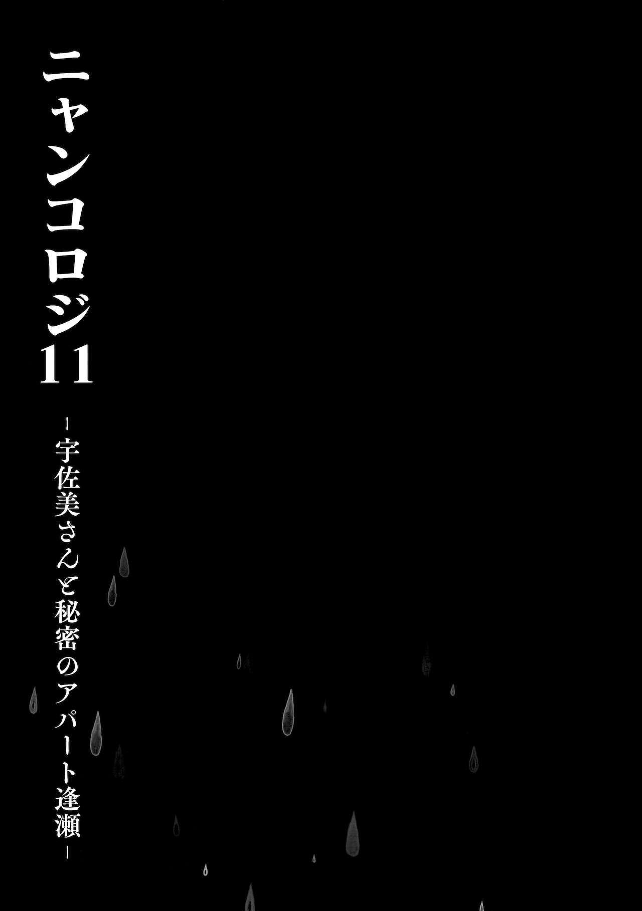 (Mega Akihabara Doujinsai 1) [Kinokonomi (konomi)] Nyancology11 -Usami-san to Himitsu no Apart Ouse- 11