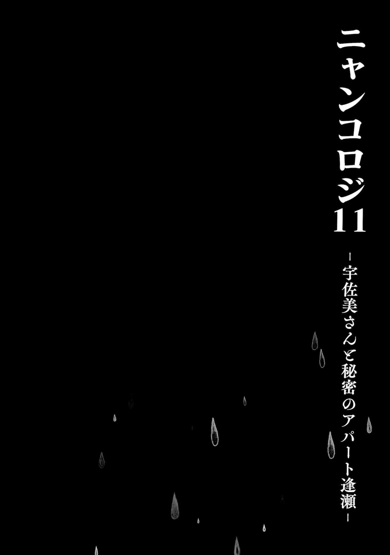 (Mega Akihabara Doujinsai 1) [Kinokonomi (konomi)] Nyancology11 -Usami-san to Himitsu no Apart Ouse- 12