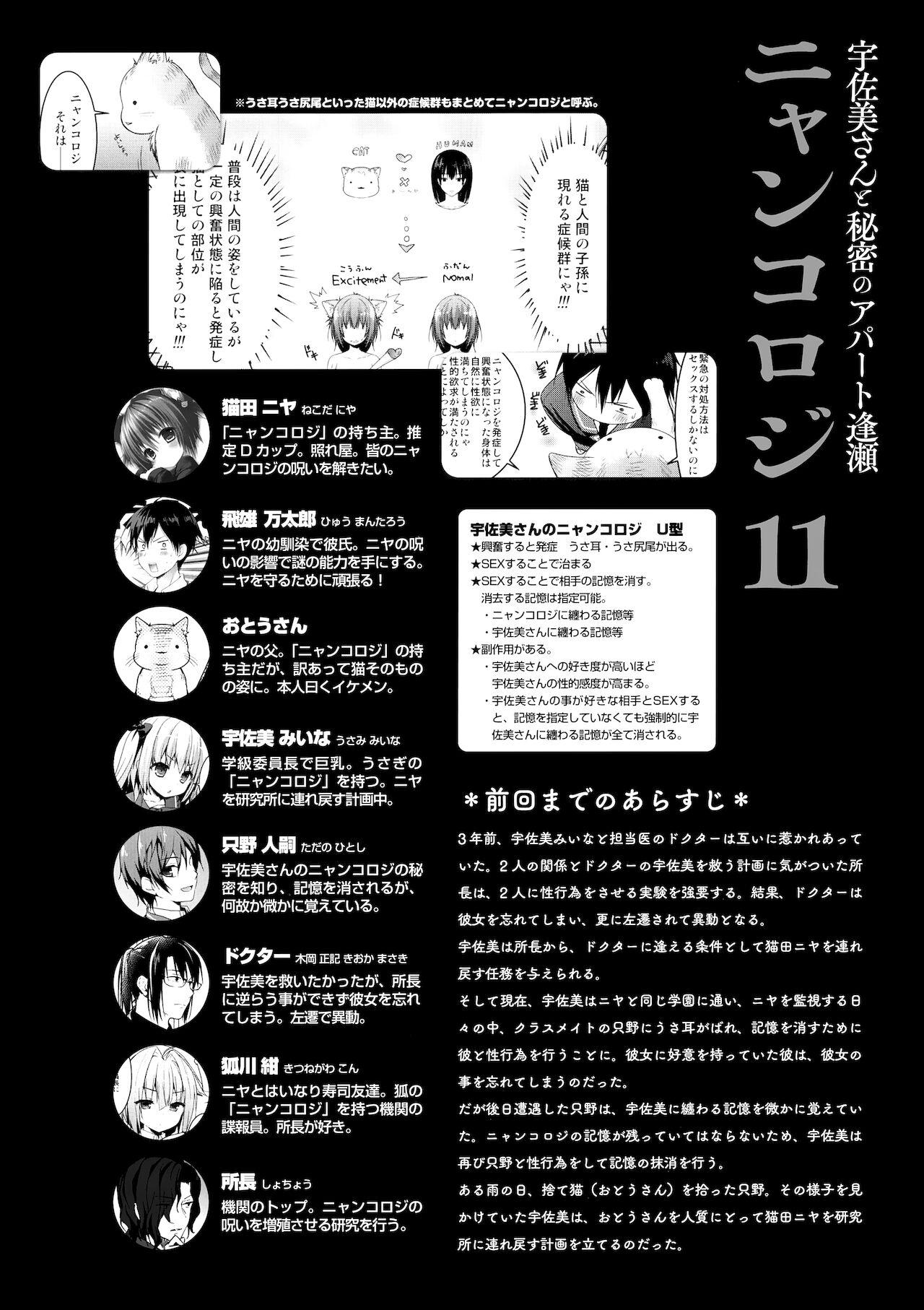 (Mega Akihabara Doujinsai 1) [Kinokonomi (konomi)] Nyancology11 -Usami-san to Himitsu no Apart Ouse- 4