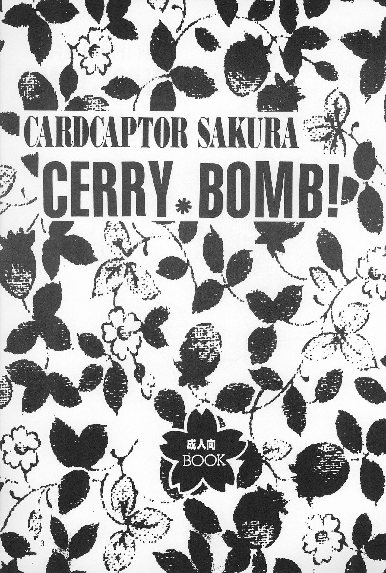Newbie CHERRY BOMB! - Cardcaptor sakura Sextoys - Page 5