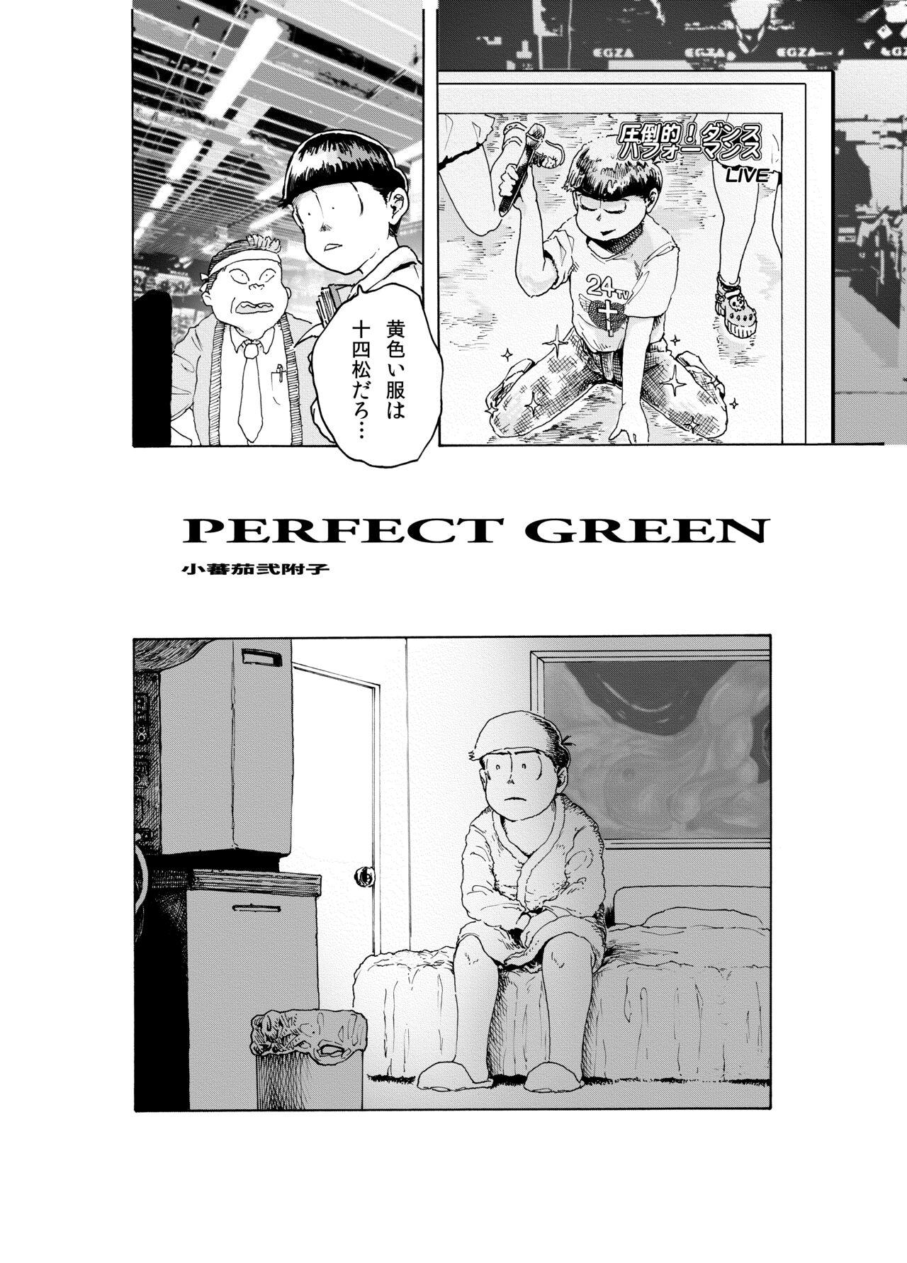 WEB Sairoku 'PERFECT GREEN' 3